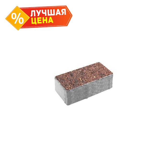 Плитка тротуарная Прямоугольник (Ла-Линия) Б.2.П.8 Листопад гладкий Осень 200x100x80 мм